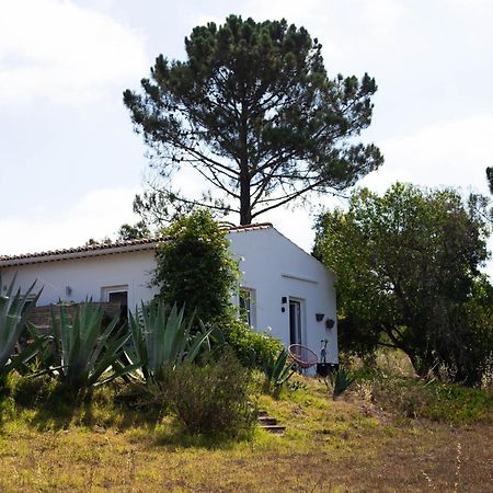 Monte Da Urze Aljezur - Agroturismo Εξωτερικό φωτογραφία
