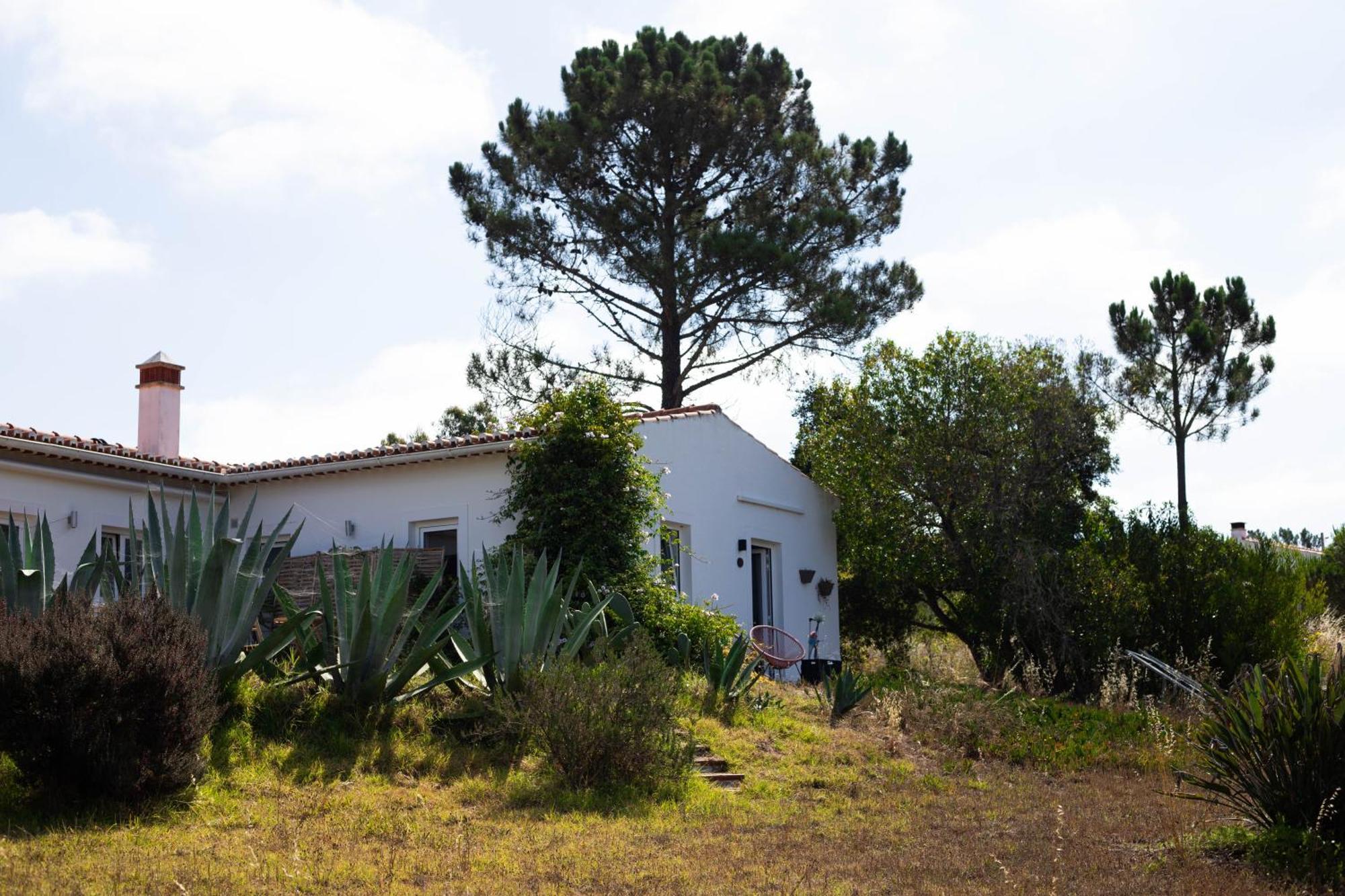 Monte Da Urze Aljezur - Agroturismo Εξωτερικό φωτογραφία