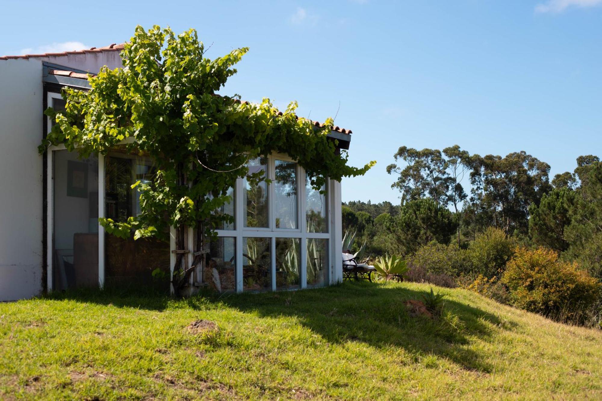 Monte Da Urze Aljezur - Agroturismo Εξωτερικό φωτογραφία